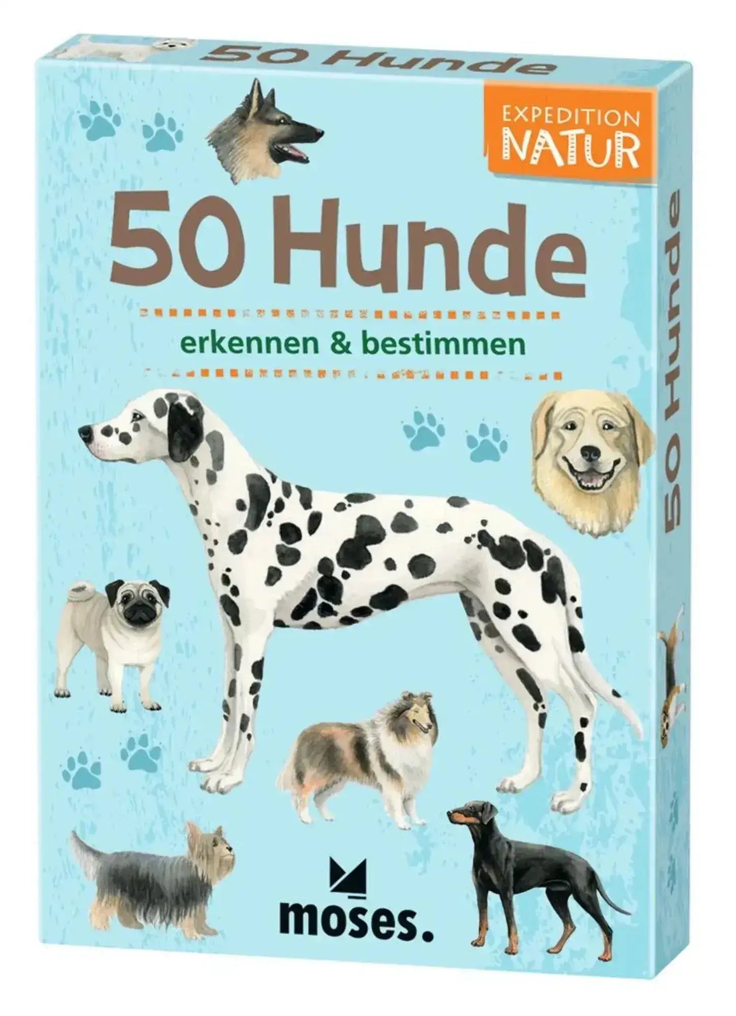 50-hunde-bestimmen-wissensspiel-fur-hundefreunde-kunstundspiel-1 - kunstundspiel