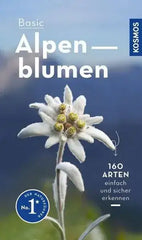 basic-alpenblumen-kunstundspiel-1 - kunstundspiel