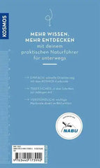 basic-alpenblumen-kunstundspiel-3 - kunstundspiel