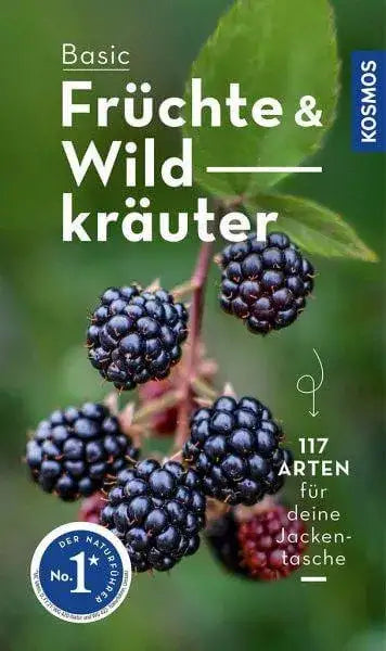 basic-fruchte-und-wildkrauter-kunstundspiel-1 - kunstundspiel