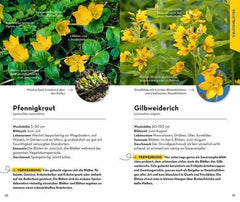 basic-fruchte-und-wildkrauter-kunstundspiel-4 - kunstundspiel