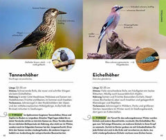 basic-gartenvogel-kunstundspiel-4 - kunstundspiel