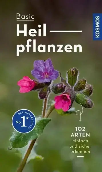 basic-heilpflanzen-kunstundspiel-1 - kunstundspiel