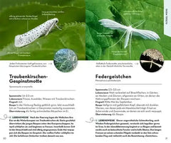 basic-schmetterlinge-kunstundspiel-2 - kunstundspiel
