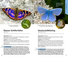 basic-schmetterlinge-kunstundspiel-3 - kunstundspiel