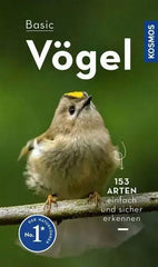 basic-vogel-kunstundspiel-1 - kunstundspiel