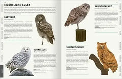 das-grosse-lexikon-der-vogel-kunstundspiel-3 - kunstundspiel