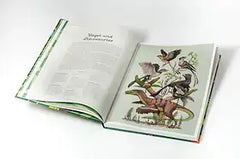 das-museum-der-vogel-eintritt-frei-kunstundspiel-4 - kunstundspiel