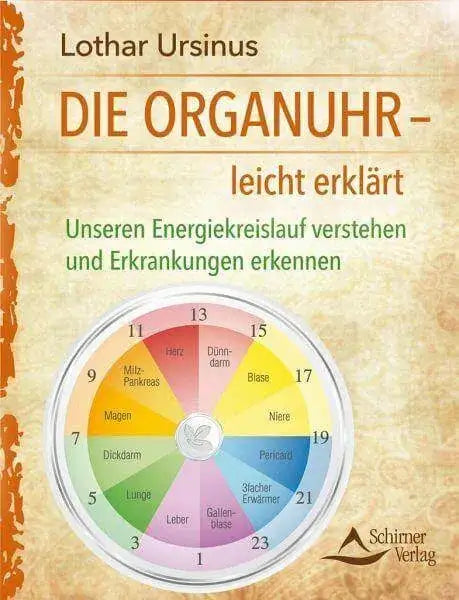 die-organuhr-leicht-erklart-kunstundspiel-1 - kunstundspiel