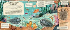 fossilien-schatze-von-ammoniten-bis-zum-t-rex-kunstundspiel-2 - kunstundspiel