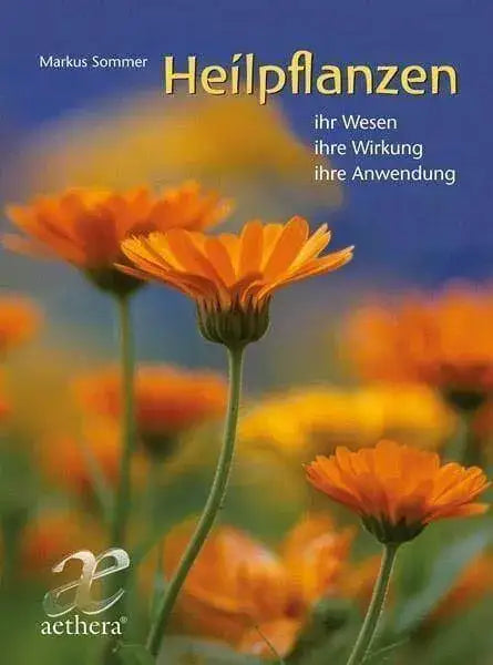 heilpflanzen-kunstundspiel-1 - kunstundspiel