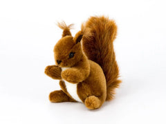 Eichhörnchen klein