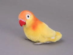Pfirsichköpfchen gelb