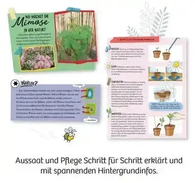 mitbring-experiment-mimosengarten-kunstundspiel-4 - kunstundspiel