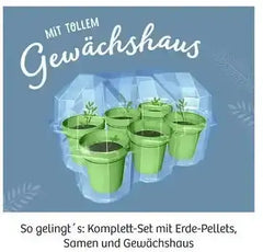 mitbring-experiment-mimosengarten-kunstundspiel-5 - kunstundspiel