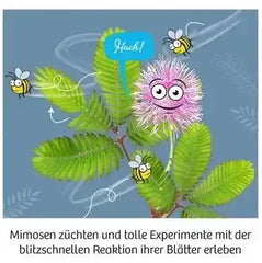 mitbring-experiment-mimosengarten-kunstundspiel-6 - kunstundspiel