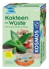 mitbring-experimente-kakteen-wuste-kunstundspiel-1 - kunstundspiel