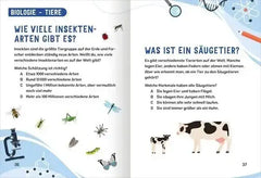 science-and-kids-naturwissenschafts-ratsel-kunstundspiel-3 - kunstundspiel