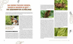 wer-knabbert-da-an-meinem-gemuse-kunstundspiel-4 - kunstundspiel