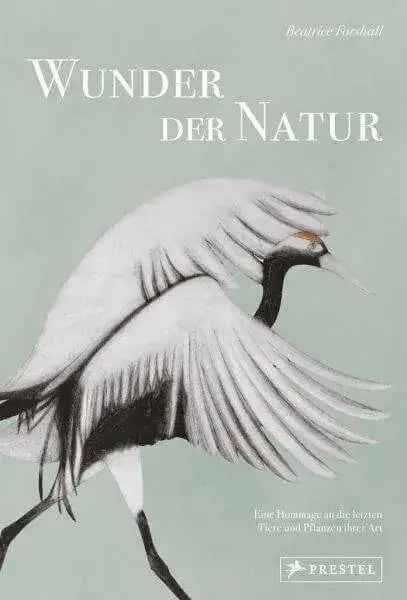 wunder-der-natur-kunstundspiel-1 - kunstundspiel