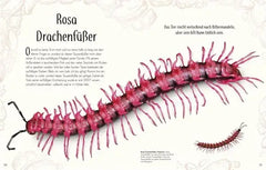 wundervolle-welt-der-insekten-und-spinnentiere-gebundene-ausgabe-jess-french_3 - kunstundspiel