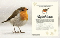 wundervolle-welt-der-vogel-kunstundspiel-2 - kunstundspiel