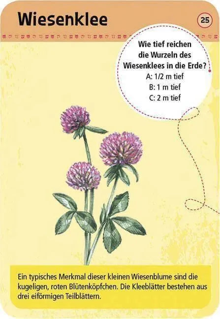 50 Heimische Blumen Moses