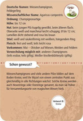 009912_INHALT_B_484x700_61bcf832-7cbc-4043-a586-b97d74cf5118 - kunstundspiel 