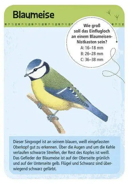 50-heimische-vogel-kunstundspiel-2 - kunstundspiel 