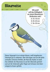 50-heimische-vogel-kunstundspiel-2 - kunstundspiel 