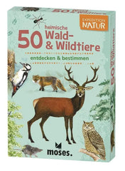 50-heimische-wald-and-wildtiere-kunstundspiel-1 - kunstundspiel 