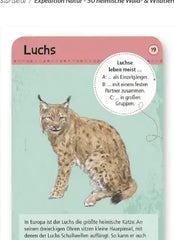 50-heimische-wald-and-wildtiere-kunstundspiel-2 - kunstundspiel 
