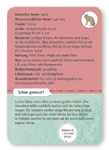 50-heimische-wald-and-wildtiere-kunstundspiel-3 - kunstundspiel 