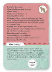 50-heimische-wald-and-wildtiere-kunstundspiel-3 - kunstundspiel 