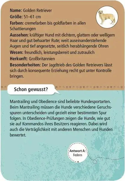 50-hunde-bestimmen-wissensspiel-fur-hundefreunde-kunstundspiel-2 - kunstundspiel 