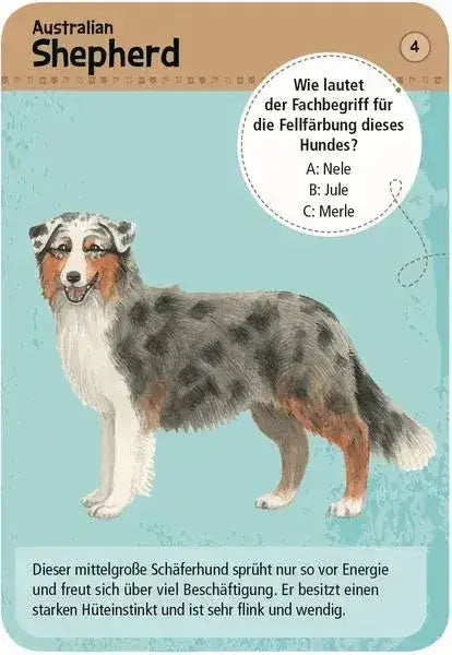 50-hunde-bestimmen-wissensspiel-fur-hundefreunde-kunstundspiel-3 - kunstundspiel 