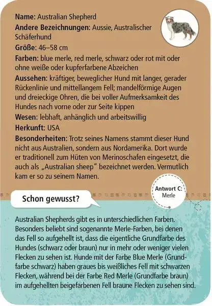 50-hunde-bestimmen-wissensspiel-fur-hundefreunde-kunstundspiel-4 - kunstundspiel 