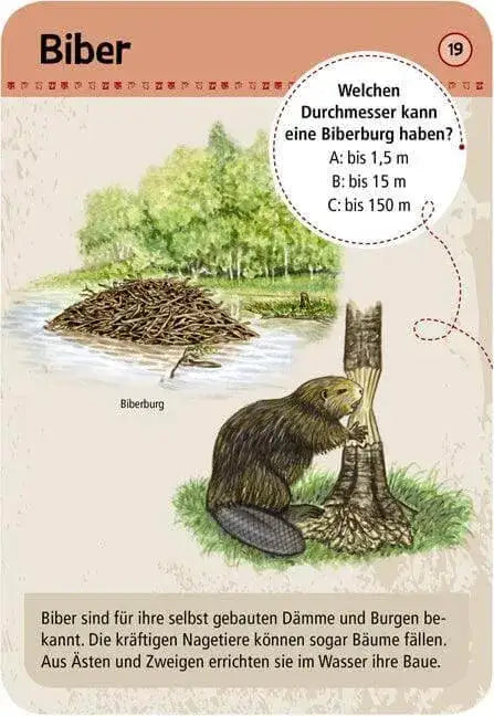 50-tierspuren-kunstundspiel-2 - kunstundspiel 