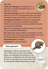 50-tierspuren-kunstundspiel-3 - kunstundspiel 