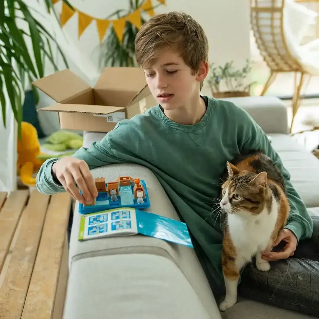 alles-fur-die-katz-katzen-in-kisten-logikspiel-ab-7-jahren-kunstundspiel-5 - kunstundspiel 