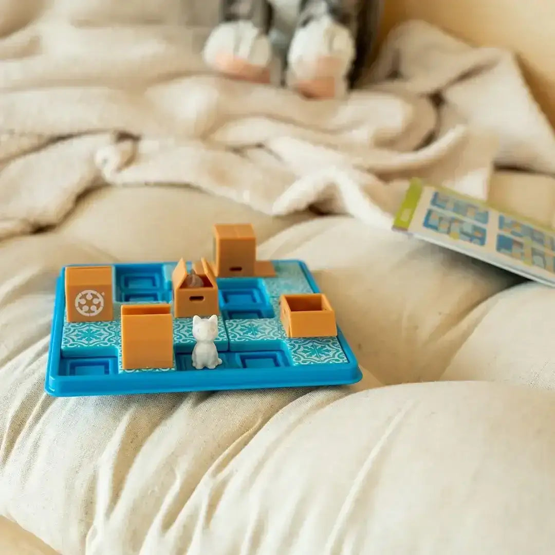 alles-fur-die-katz-katzen-in-kisten-logikspiel-ab-7-jahren-kunstundspiel-8 - kunstundspiel 