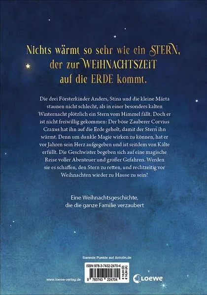 als-ein-stern-vom-himmel-fiel-kunstundspiel-2 - kunstundspiel 