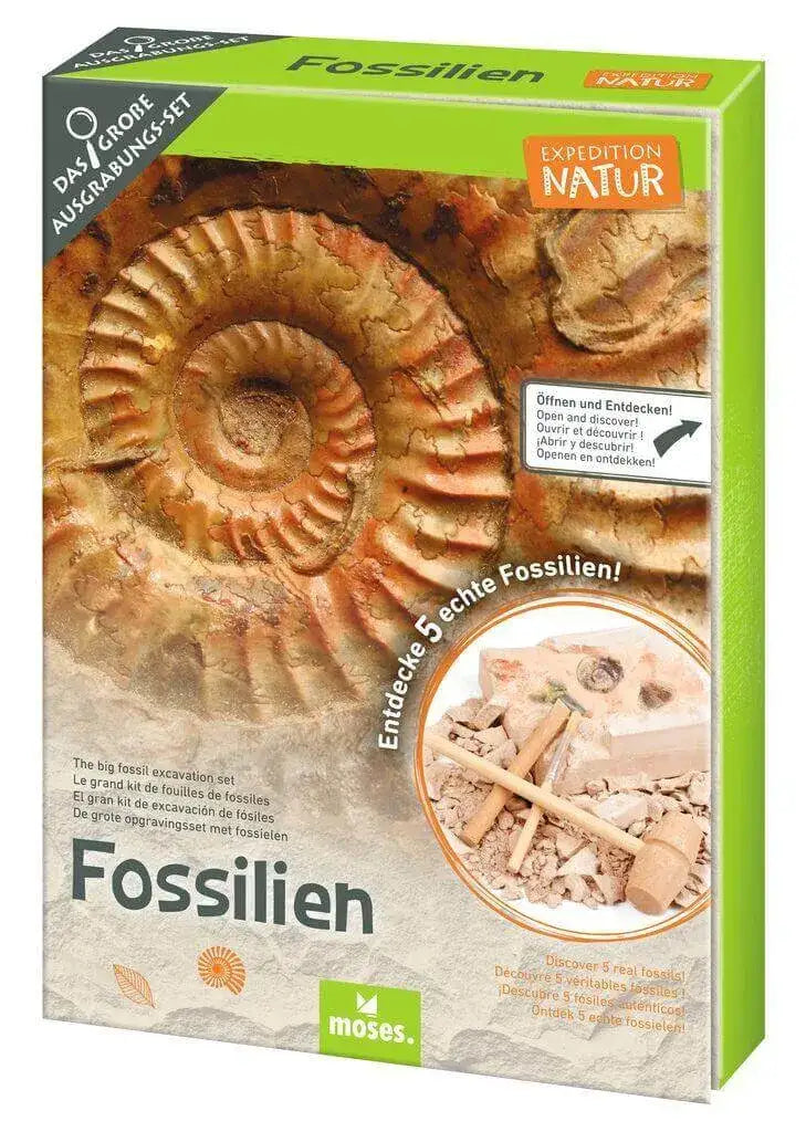 ausgrabungsset-fossilien-kunstundspiel-1 - kunstundspiel 