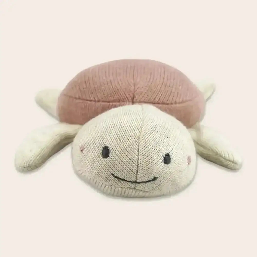 babyrassel-schildkrote-verschiedene-farben-kunstundspiel-5 - kunstundspiel 