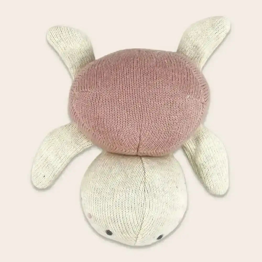 babyrassel-schildkrote-verschiedene-farben-kunstundspiel-6 - kunstundspiel 