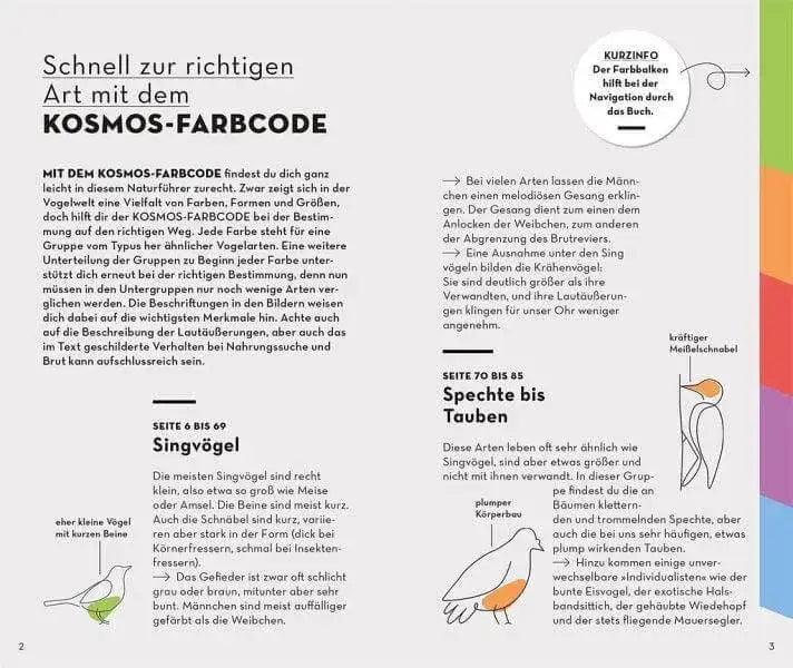 basic-gartenvogel-kunstundspiel-2 - kunstundspiel 