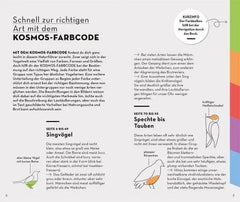 basic-gartenvogel-kunstundspiel-2 - kunstundspiel 