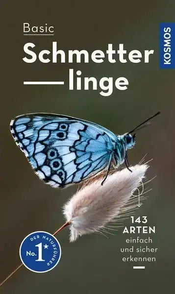 basic-schmetterlinge-kunstundspiel-1 - kunstundspiel 