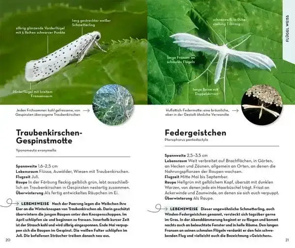 basic-schmetterlinge-kunstundspiel-2 - kunstundspiel 