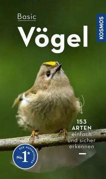 basic-vogel-kunstundspiel-1 - kunstundspiel 